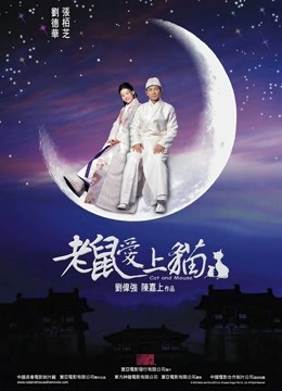 老鼠爱上猫(2003)