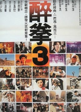 醉拳3(粤语)