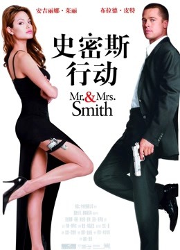 史密斯夫妇(普通话)